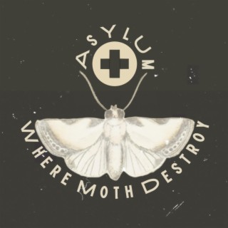 Where Moth Destroy lyrics | Boomplay Music