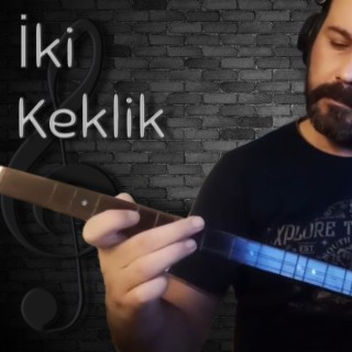 İki Keklik Bir kayada Ötüyor Enstrümantal Bağlama