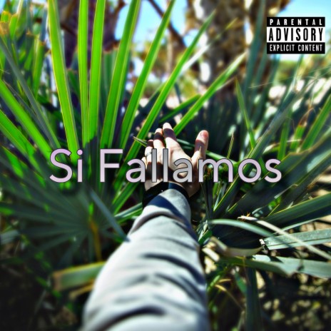 Si Fallamos | Boomplay Music