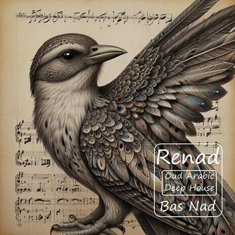 Renad (Oud Arabic Deep House) | Boomplay Music