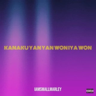 Kanaku Yan Yan Won Iya Won lyrics | Boomplay Music