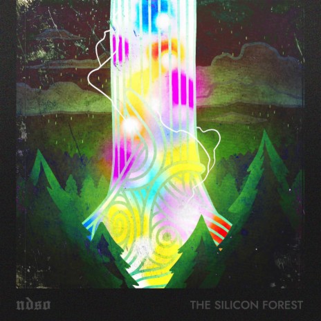 The Silicon Forest