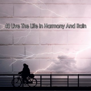 40 Live The Life In Harmony And Rain