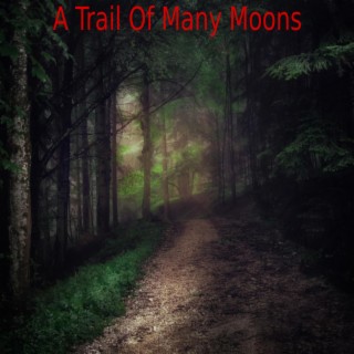 A Trail Of Many Moons