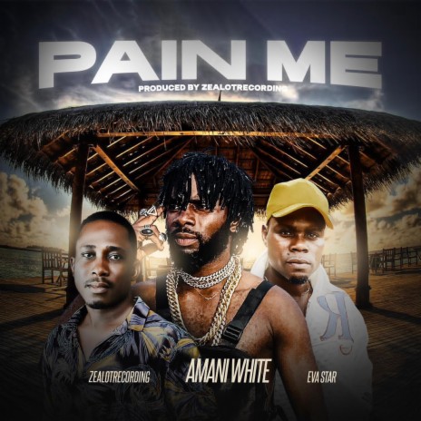 PAIN ME | Boomplay Music