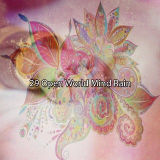 29 Open World Mind Rain