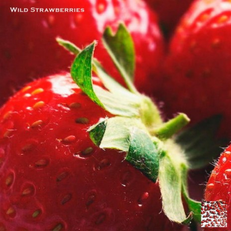 Wild Strawberries | Boomplay Music