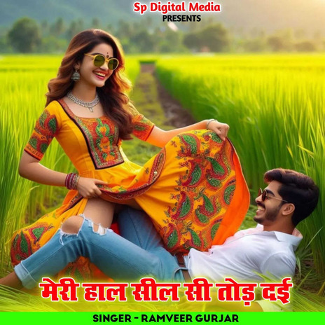 Meri Haal Seel Si Tod Dai | Boomplay Music