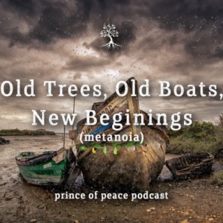 [bonus] Old Trees, Old Boats, New Beginnings