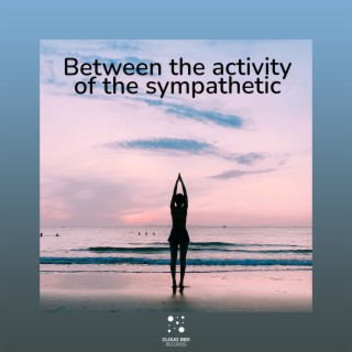 Between the activity of the sympathetic