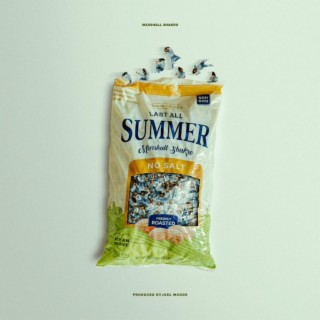 Last All Summer lyrics | Boomplay Music