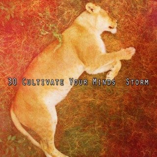 30 Cultivate Your Minds Storm