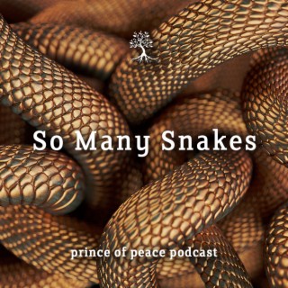So Many Snakes (Breathe Peace)