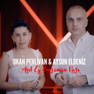 ACIL EY OMRUMUN VARI ft. Aysun Eldeniz lyrics | Boomplay Music