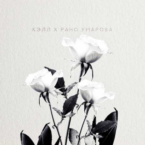 Белые розы ft. Рано Умарова