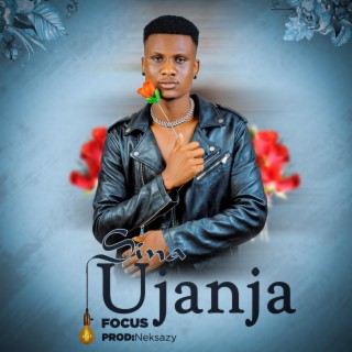 Sina ujanja lyrics | Boomplay Music