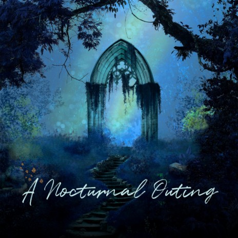 A Nocturnal Outing | Boomplay Music