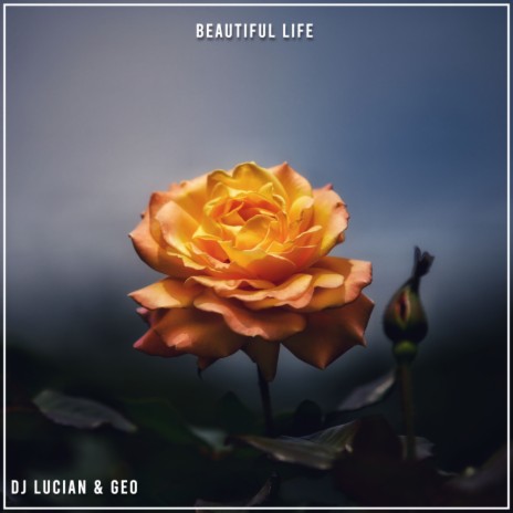 Beautiful Life (Radio Edit) ft. Geo