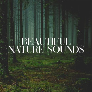 Beautiful Nature Sounds