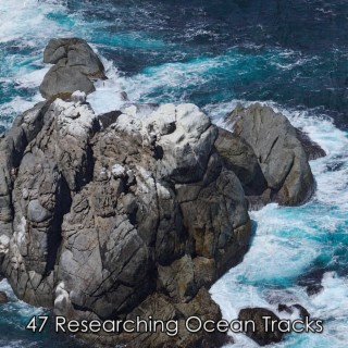 47 Researching Ocean Tracks