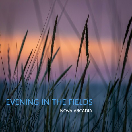 Evening In the Fields | Boomplay Music