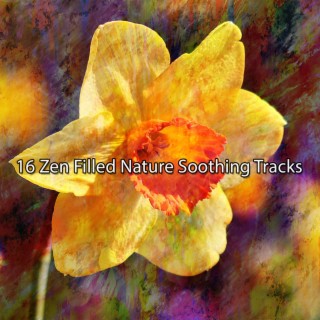 16 Zen Filled Nature Soothing Tracks