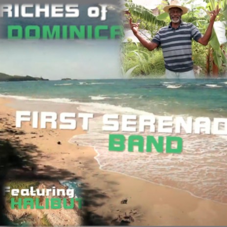 Riches of Dominica ft. Halibut | Boomplay Music