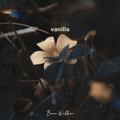 vanilla ft. Little Balloon | Boomplay Music