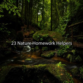 23 Nature Homework Helpers