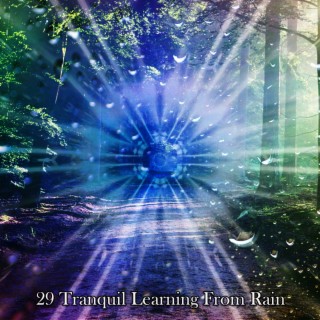 29 Tranquil Learning From Rain