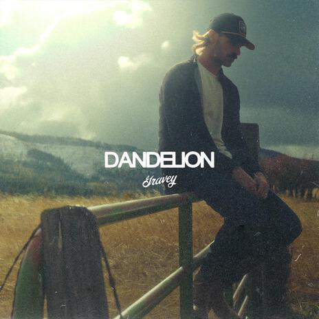 Dandelion | Boomplay Music