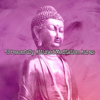 53 Peacefully Attuned Meditation Auras