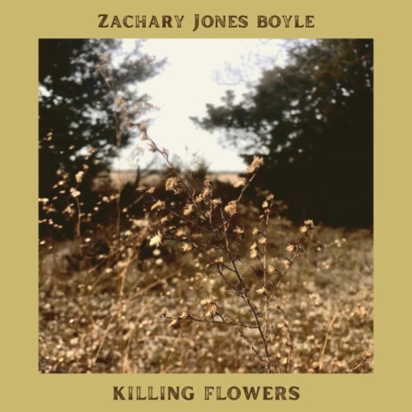Killing Flowers | Boomplay Music