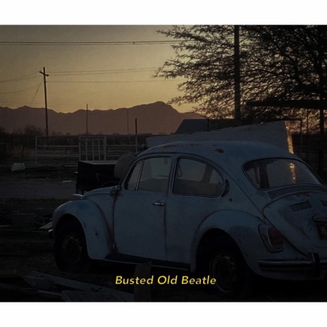 Busted Old Beetle | Boomplay Music