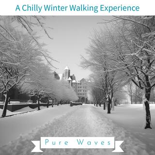 A Chilly Winter Walking Experience