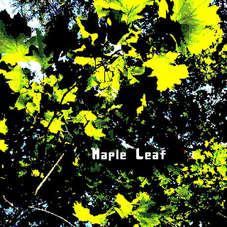 Maple Leaf | Boomplay Music