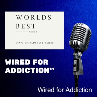 Company Showcase – Wired for AddictionTM