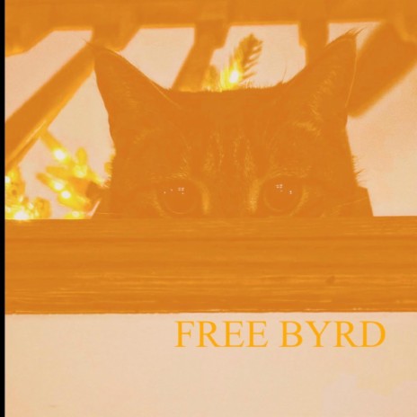 Free Byrd | Boomplay Music