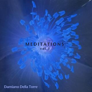 Meditations, Vol. 1