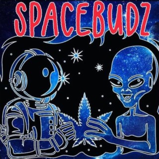 SpaceBudz