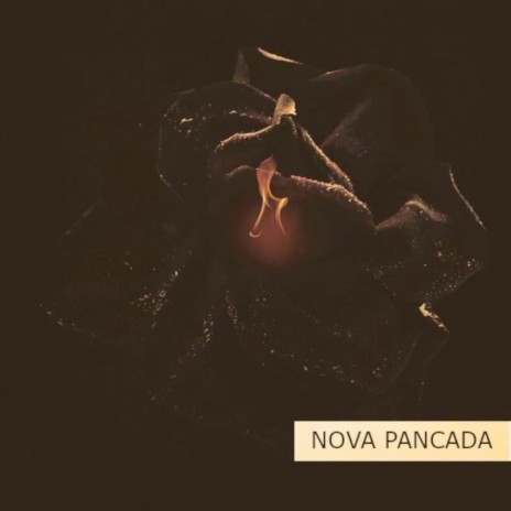 Nova Pancada | Boomplay Music