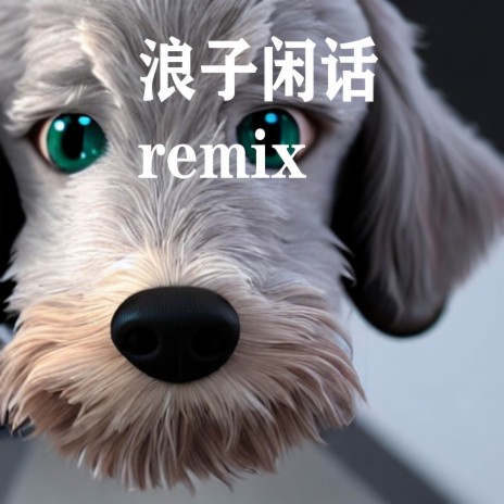 浪子闲话 remix | Boomplay Music