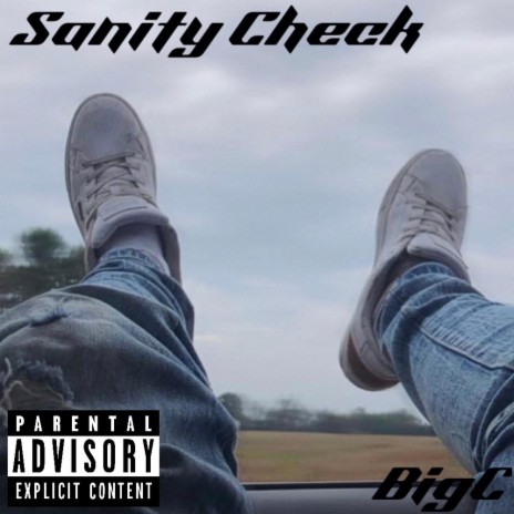Sanity Check | Boomplay Music
