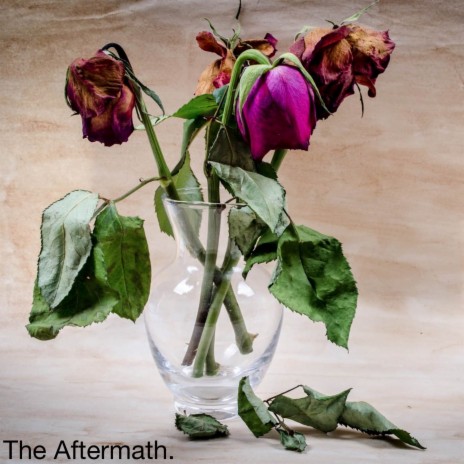 The Aftermath ft. Khan Kazi & Emily Woelke | Boomplay Music