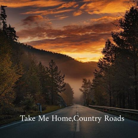 Take Me Home,Country Roads