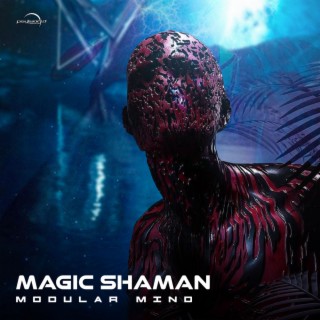 Magic Shaman