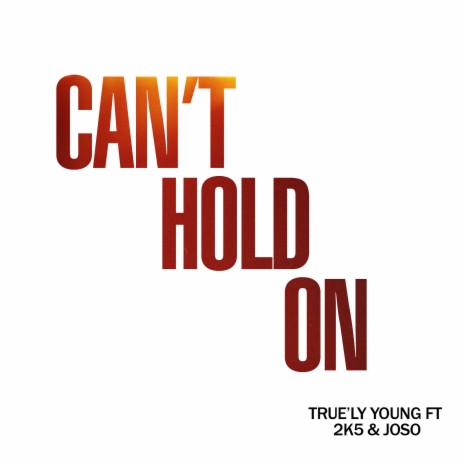 Can't Hold On ft. 2k5 & joso | Boomplay Music