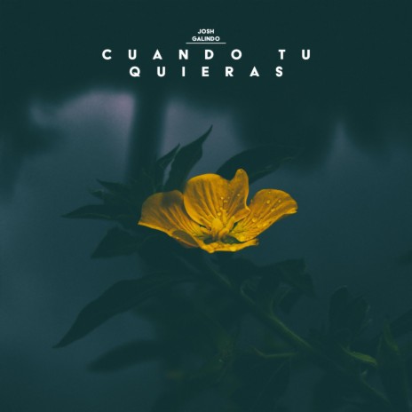 Cuando Tú Quieras | Boomplay Music