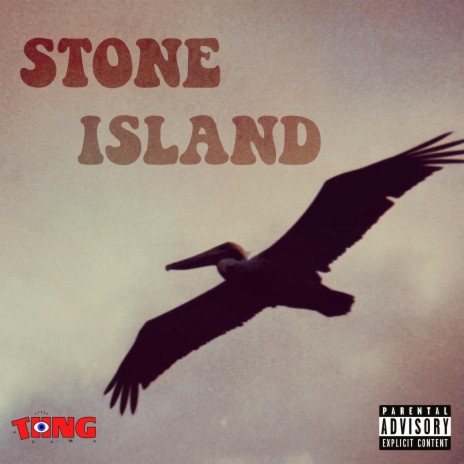 Stone Island | Boomplay Music