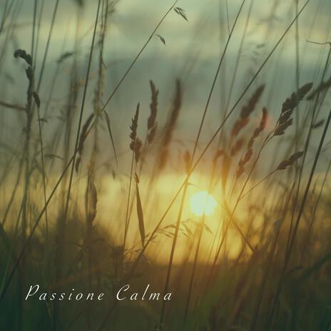 Passione Calma | Boomplay Music